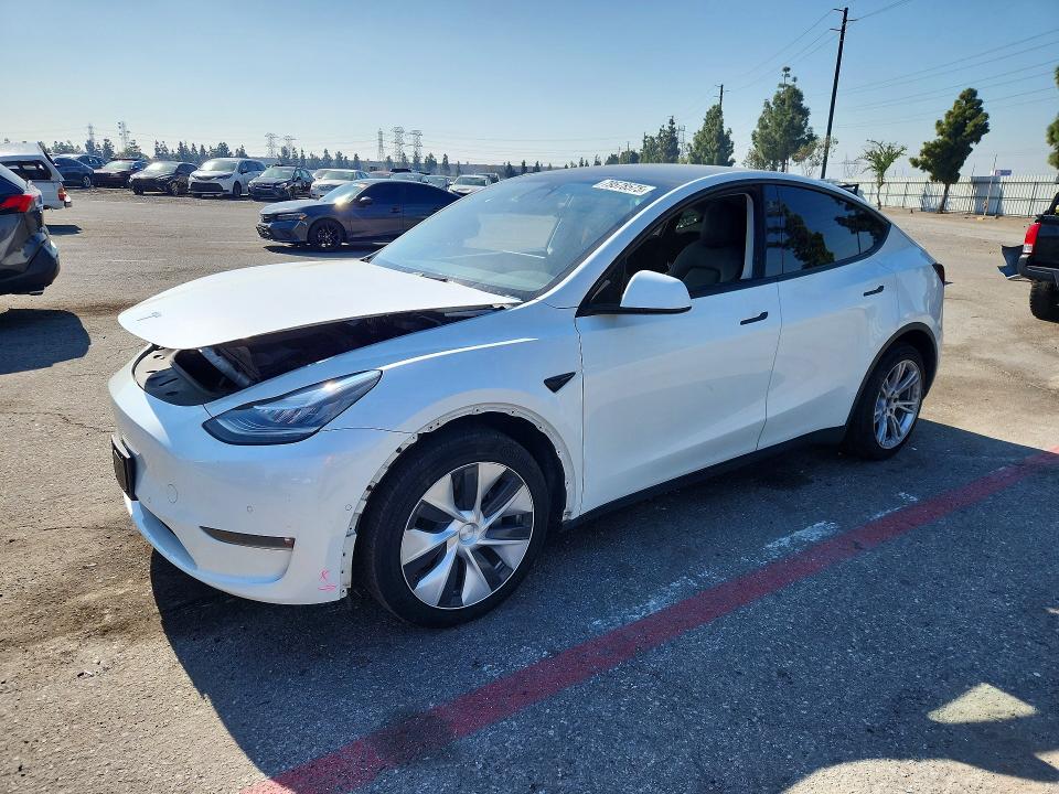 79578575 :رقم المزاد ، 5YJYGDEEXMF239427 vin ، 2021 Tesla Model Y مزاد بيع