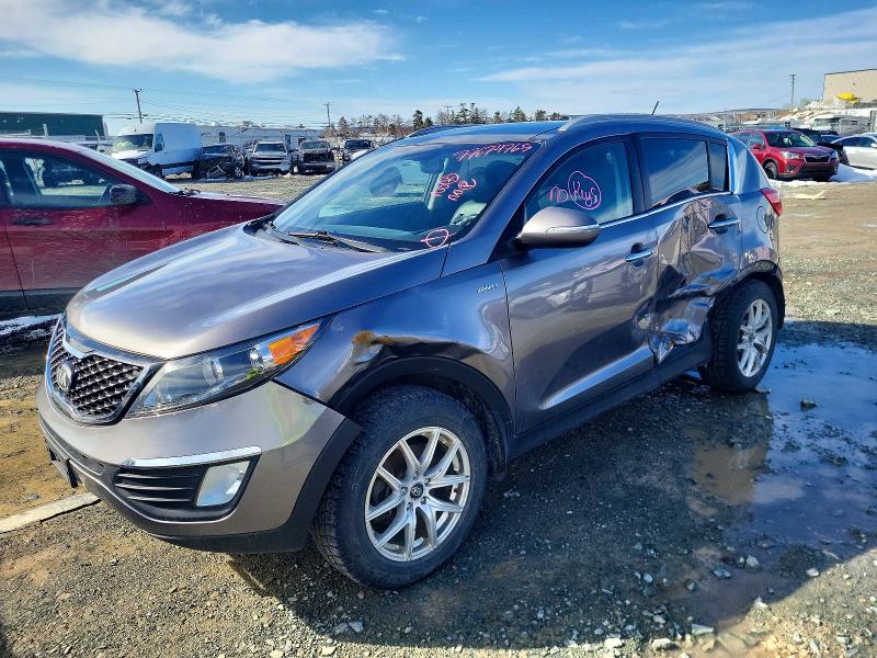 Продаж на аукціоні авто 2013 Kia Sportage, vin: KNDPCCA66D7388438, номер лоту: 77674765
