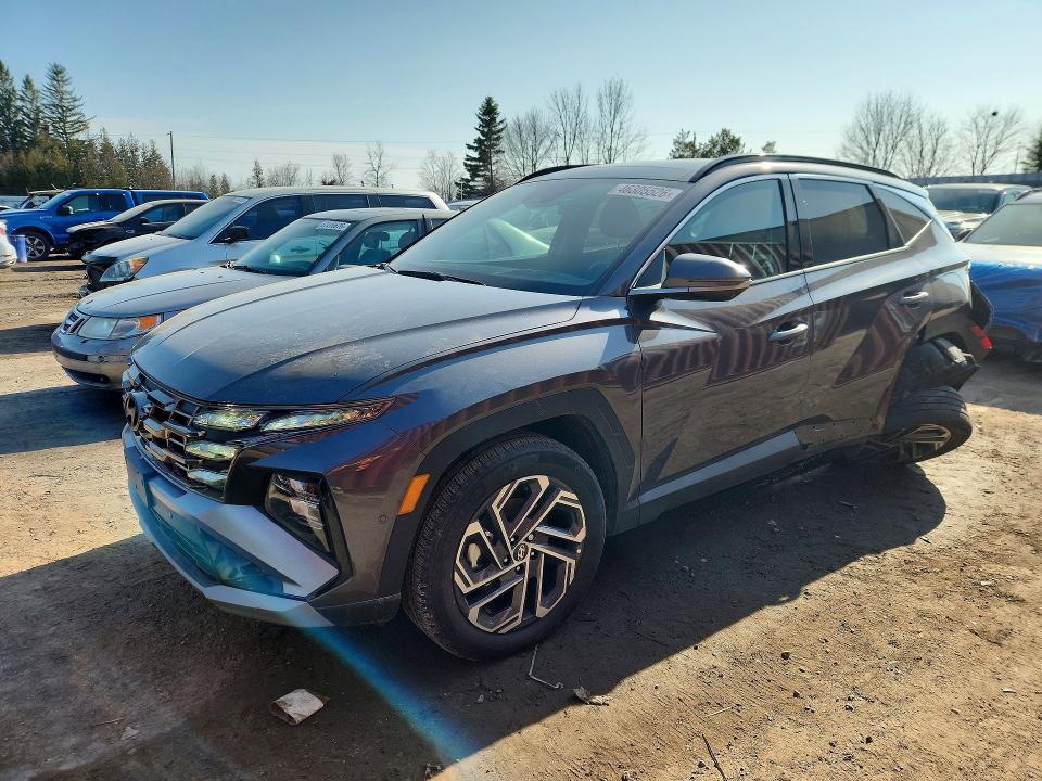 Продаж на аукціоні авто 2025 Hyundai Tucson, vin: KM8JDDD21SU358243, номер лоту: 46305526