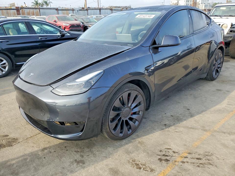 Продаж на аукціоні авто 2024 Tesla Model Y, vin: 7SAYGDEF5RA330539, номер лоту: 48143746