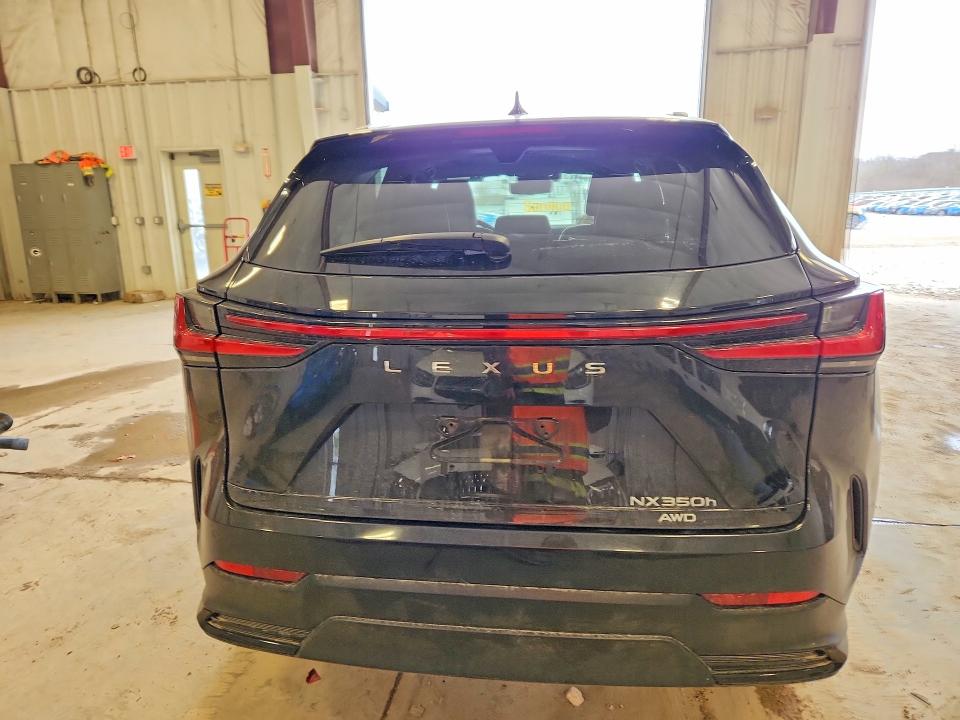 45572226 :رقم المزاد ، 2T2HKCEZ5RC026159 vin ، 2024 Lexus Nx 350h مزاد بيع