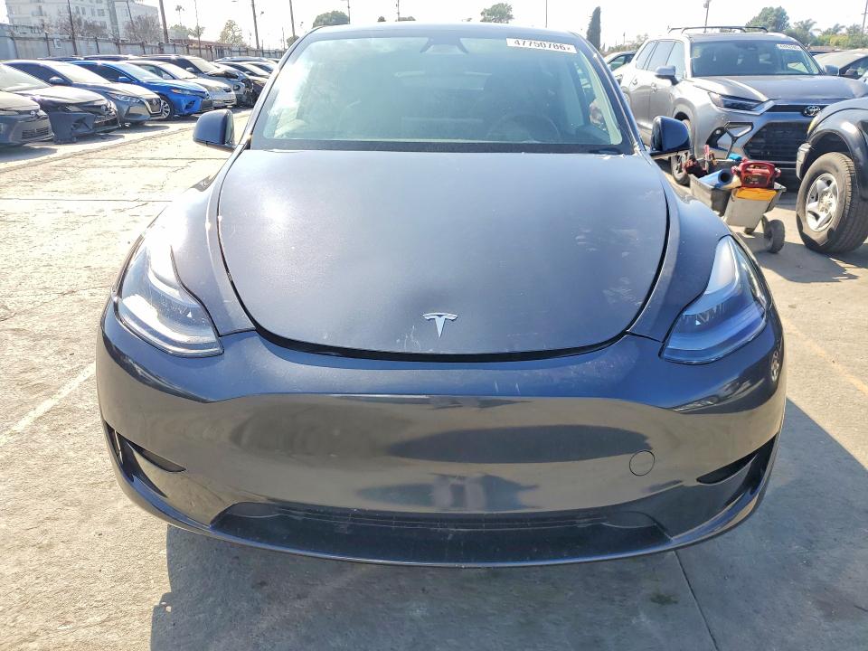 Продажа на аукционе авто 2025 Tesla Model Y, vin: 7SAYGDED2SF259629, номер лота: 47750786