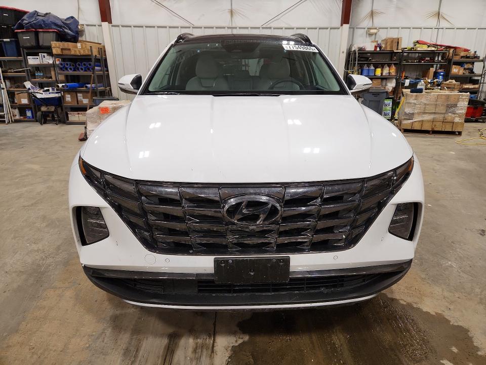 2024 Hyundai Tucson მანქანა იყიდება აუქციონზე, vin: KM8JECD13RU148879, აუქციონის ნომერი: 77549865