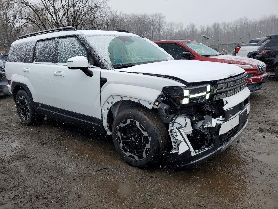 Aukcja sprzedaży 2024 Hyundai Santa Fe, vin: 5NMP2DGL6RH063407, numer aukcji: 79307755