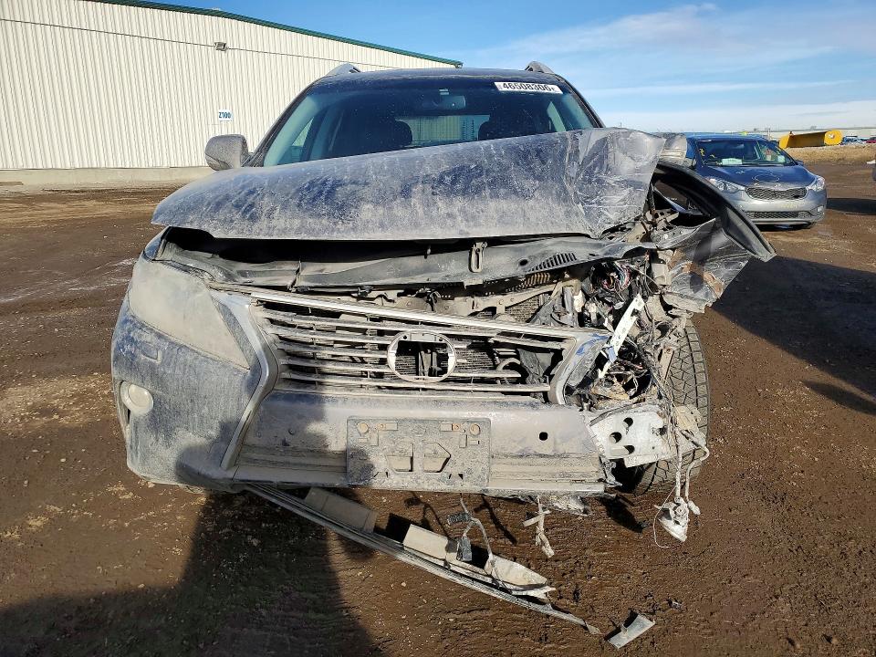 46508306 :رقم المزاد ، 2T2BK1BAXEC232225 vin ، 2014 Lexus Rx 350 مزاد بيع