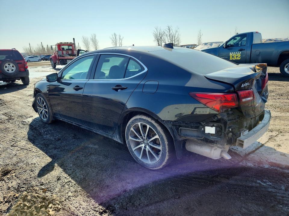 45458916 :رقم المزاد ، 19UUB3F53HA800427 vin ، 2017 Acura Tlx مزاد بيع