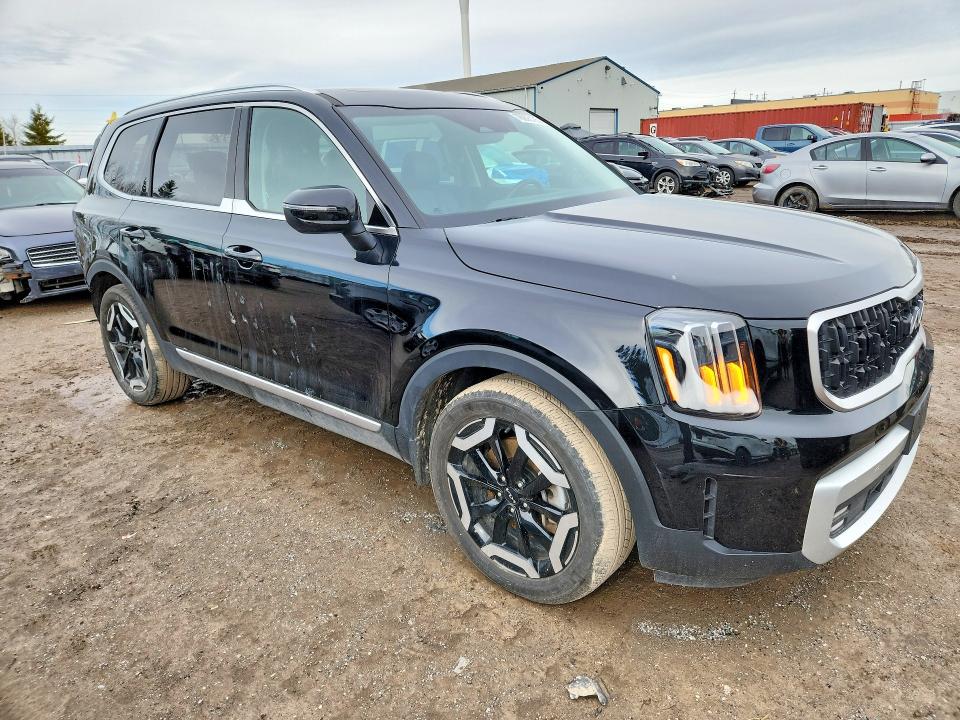 2024 Kia Telluride მანქანა იყიდება აუქციონზე, vin: 5XYP3DGC3RG516955, აუქციონის ნომერი: 78906195
