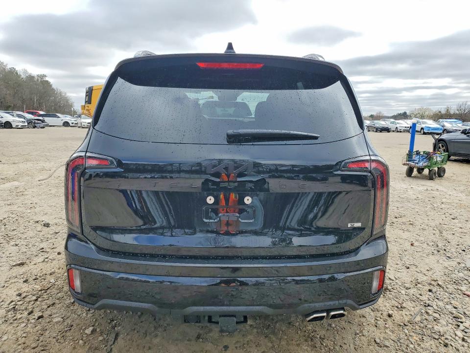 Aukcja sprzedaży 2025 Kia Telluride, vin: 5XYP5DGC6SG719905, numer aukcji: 79173995