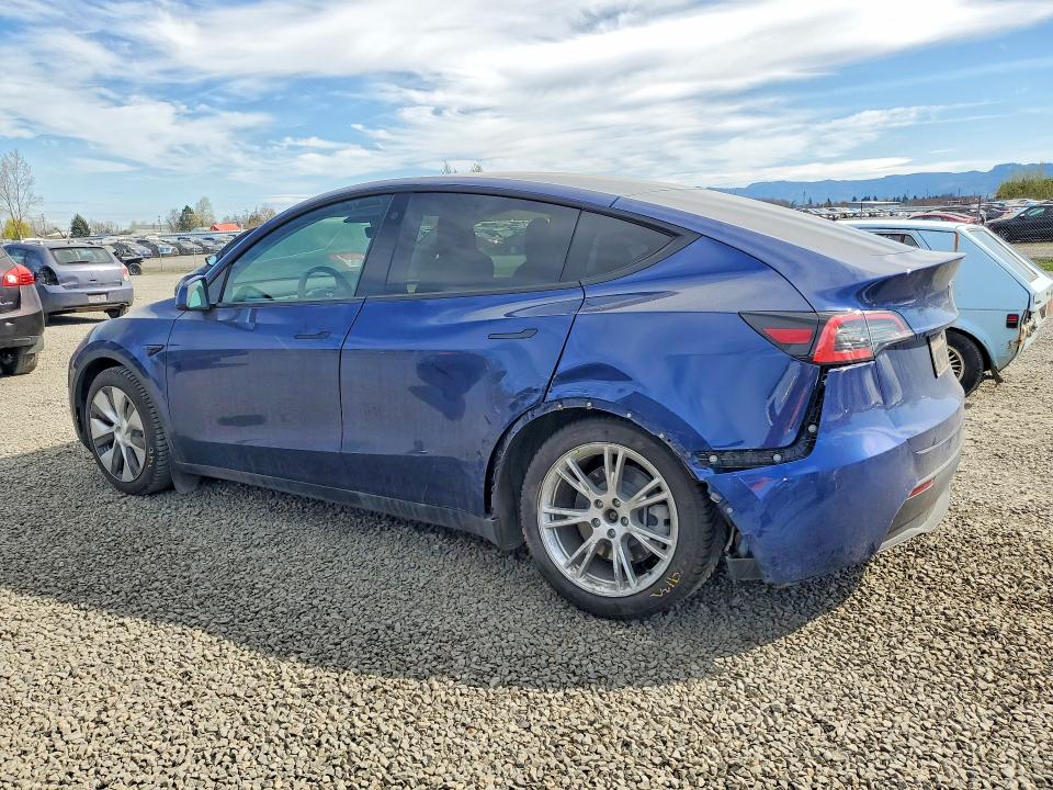 2021 Tesla Model Y მანქანა იყიდება აუქციონზე, vin: 5YJYGDEE0MF114923, აუქციონის ნომერი: 79497715