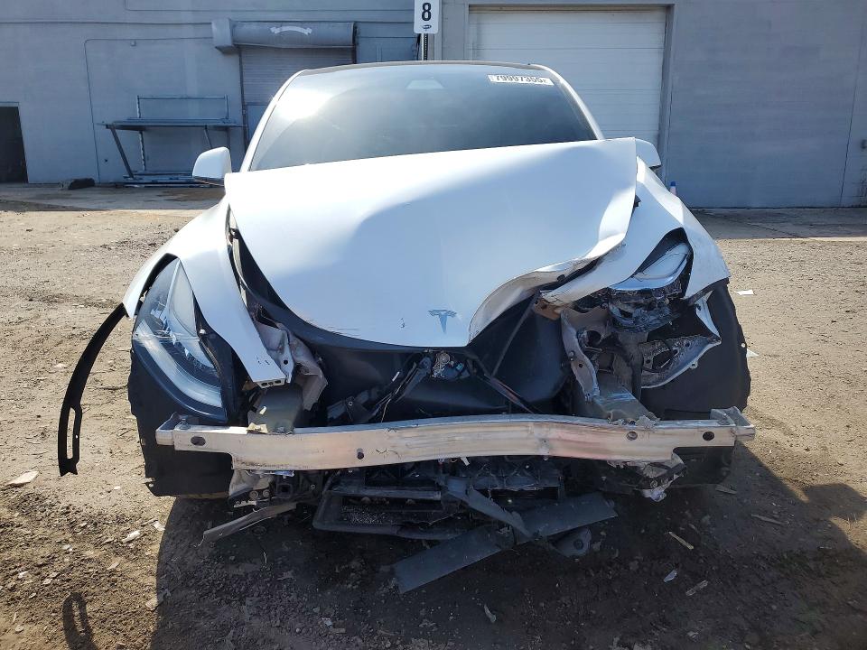 Продаж на аукціоні авто 2021 Tesla Model Y, vin: 5YJYGDEE6MF294571, номер лоту: 79997355