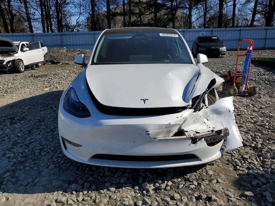 45565016 :رقم المزاد ، 7SAYGDEE8PA173058 vin ، 2023 Tesla Model Y مزاد بيع