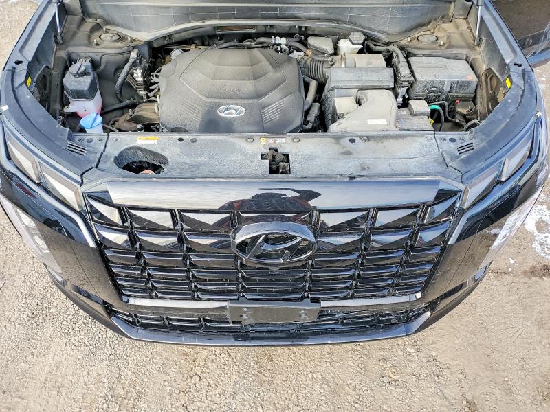 Aukcja sprzedaży 2025 Hyundai Palisade, vin: KM8R5DGE3SU873976, numer aukcji: 46218476