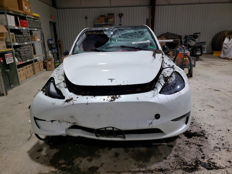 Продаж на аукціоні авто 2024 Tesla Model Y, vin: 7SAYGAEE2RF158835, номер лоту: 78927825