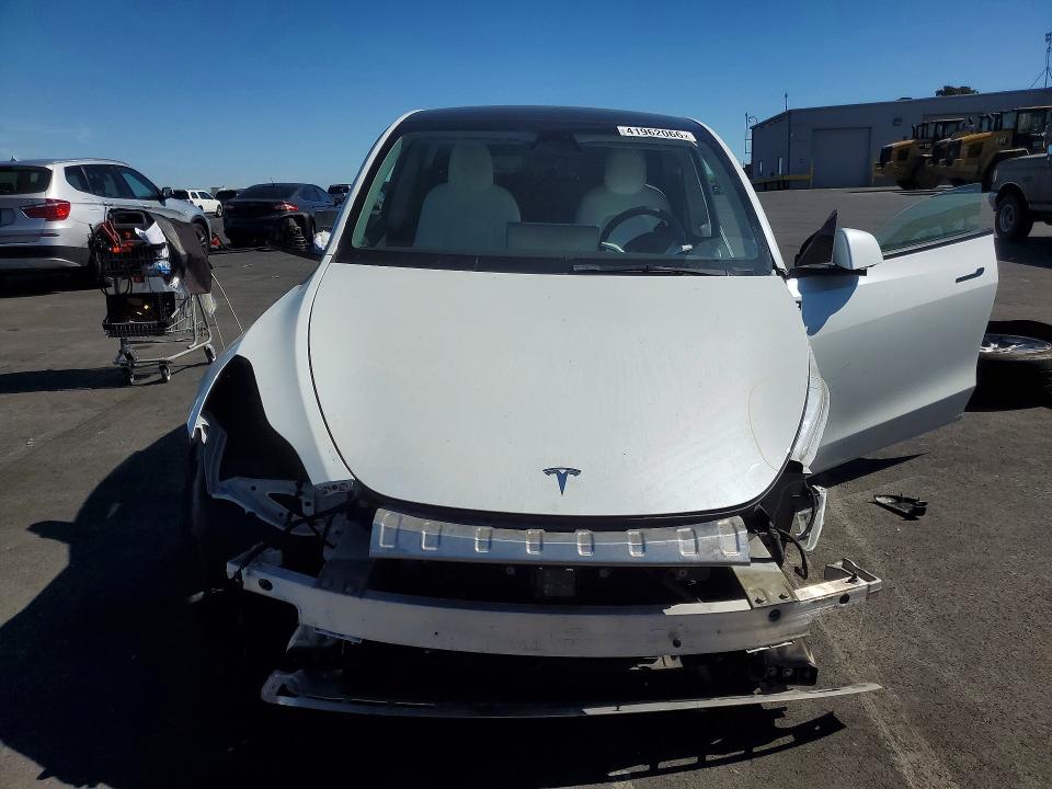 41962066 :رقم المزاد ، 5YJYGDEE3MF090942 vin ، 2021 Tesla Model Y مزاد بيع