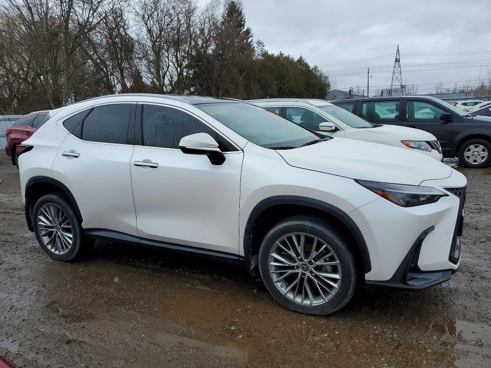 79067545 :رقم المزاد ، 2T2GKCEZ3PC012026 vin ، 2023 Lexus Nx 350h مزاد بيع