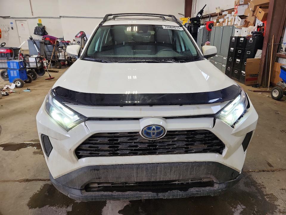 76964015 :رقم المزاد ، 2T3RWRFV2PW171058 vin ، 2023 Toyota Rav4 مزاد بيع