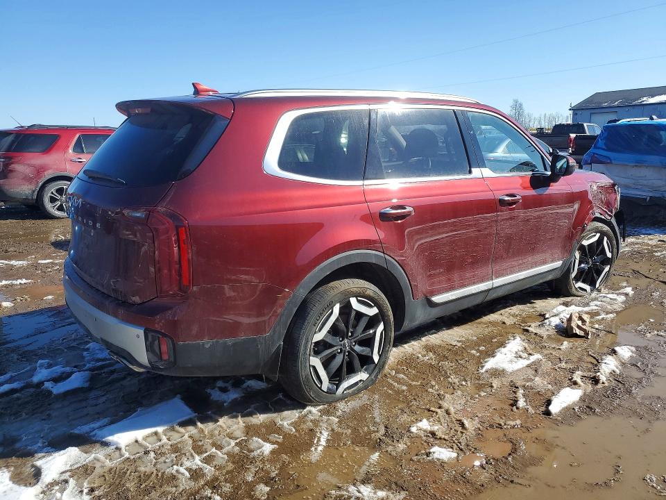 2024 Kia Telluride მანქანა იყიდება აუქციონზე, vin: 5XYP64GC1RG549623, აუქციონის ნომერი: 78991145