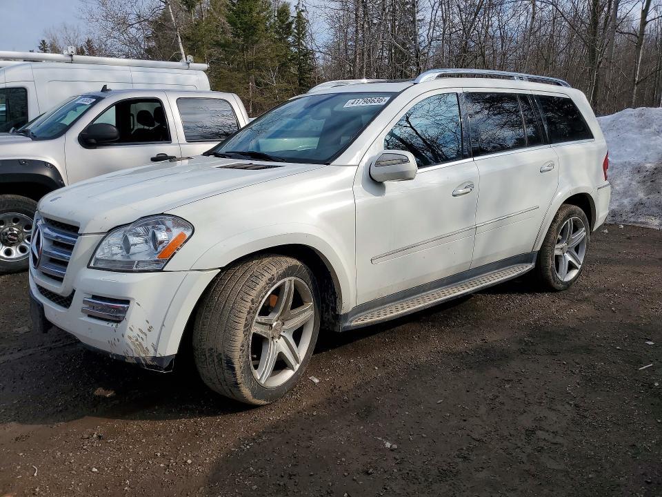 Auction sale of the 2010 Mercedes-benz Gl, vin: 4JGBF8GE2AA580429, lot number: 41798636