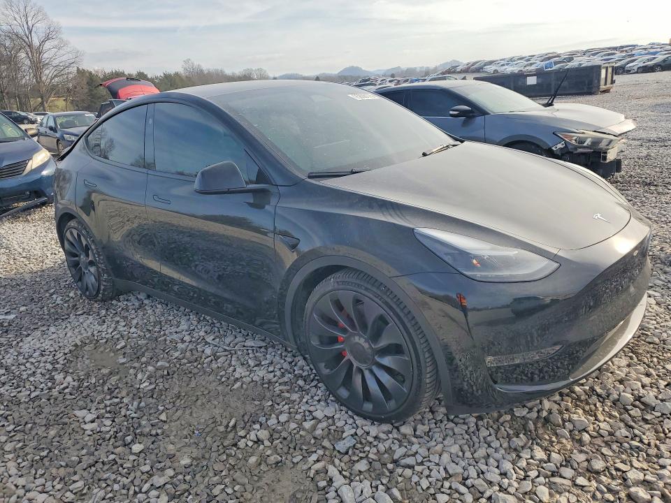 Продажа на аукционе авто 2024 Tesla Model Y, vin: 7SAYGDEF9RF054014, номер лота: 75898175
