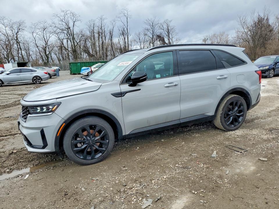 Продаж на аукціоні авто 2023 Kia Sorento, vin: 5XYRK4LF6PG219610, номер лоту: 45643956