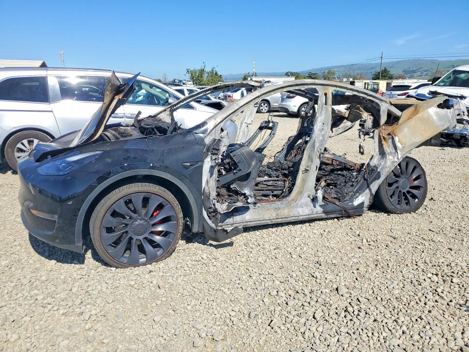 Продаж на аукціоні авто 2024 Tesla Model Y, vin: 7SAYGDEFXRF080346, номер лоту: 41652446