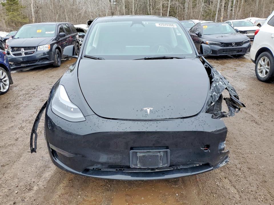 42049306 :رقم المزاد ، 7SAYGDEE6RF042054 vin ، 2024 Tesla Model Y مزاد بيع