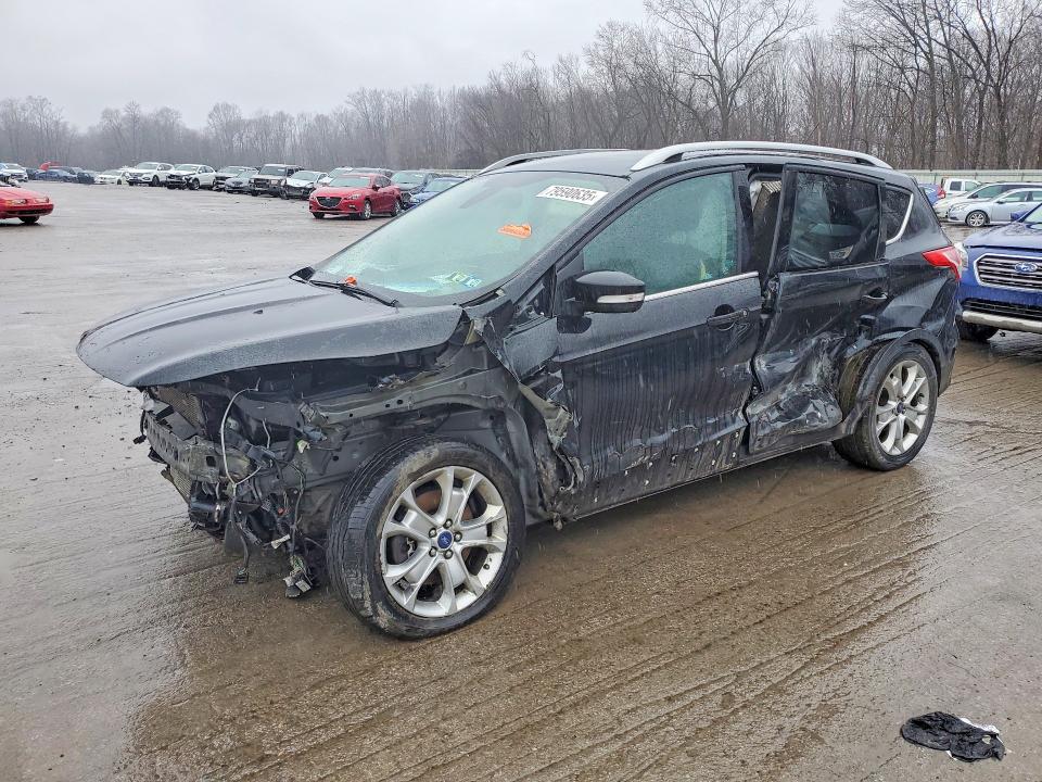 Auction sale of the 2014 Ford Escape, vin: 1FMCU9J91EUA75935, lot number: 79590635