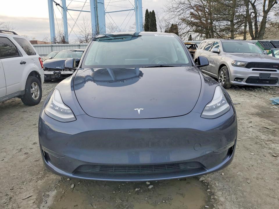 Aukcja sprzedaży 2023 Tesla Model Y Rwd, vin: 7SAYGDEE9PA097625, numer aukcji: 46535726