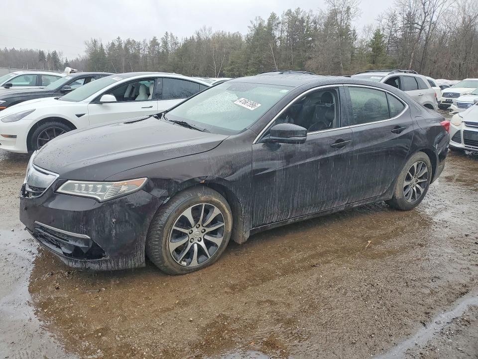 Auction sale of the 2017 Acura Tlx, vin: 19UUB1F51HA800303, lot number: 41661996
