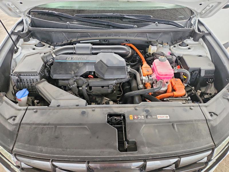 Продажа на аукционе авто 2024 Hyundai Tucson Hybrid, vin: KM8JCCD17RU149717, номер лота: 47718146
