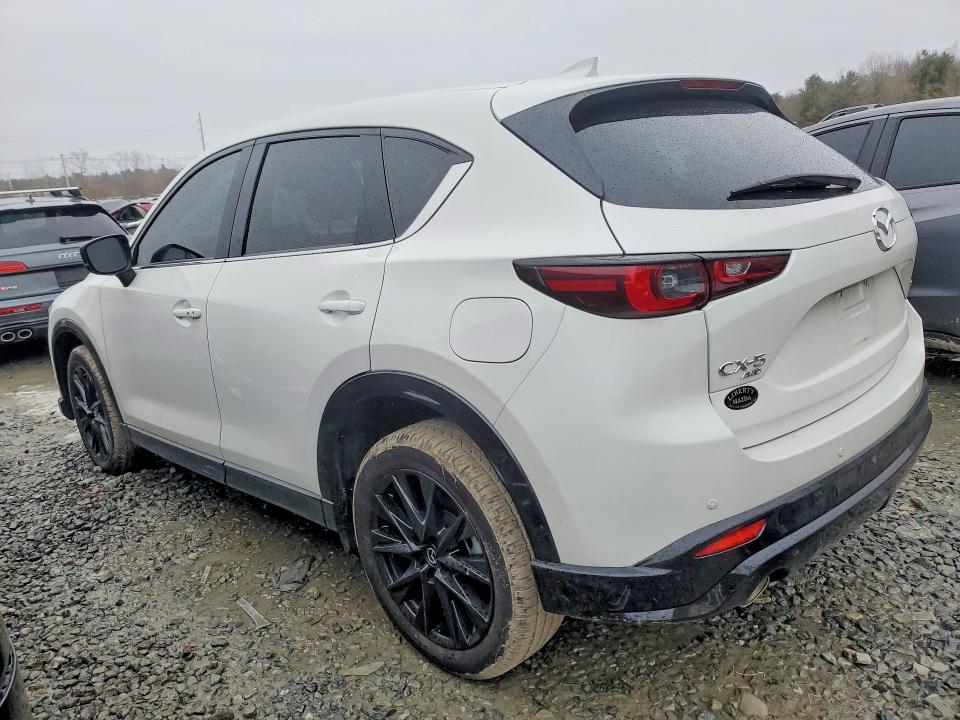 Aukcja sprzedaży 2025 Mazda Cx-5, vin: JM3KFBAY6S0546741, numer aukcji: 78326795