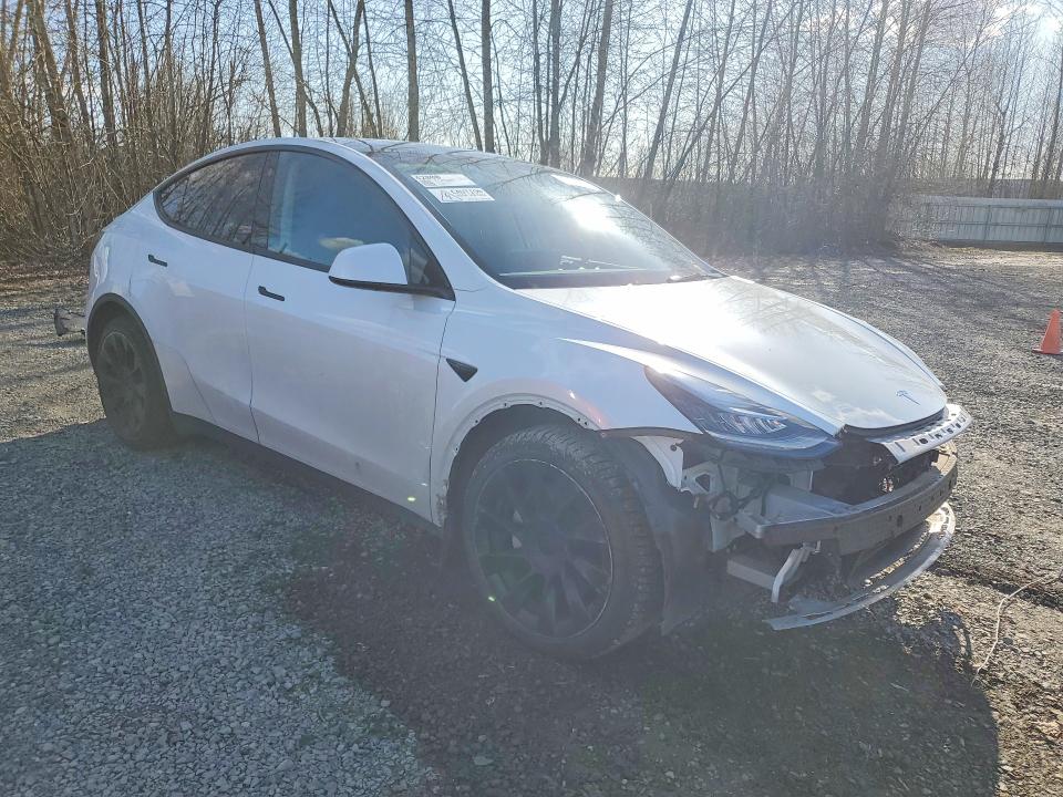 Aukcja sprzedaży 2021 Tesla Model Y, vin: 5YJYGAEE1MF203902, numer aukcji: 46861566