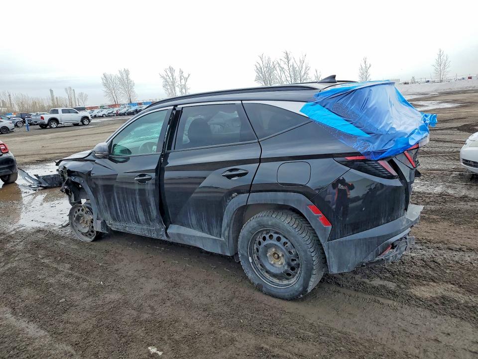 Продажа на аукционе авто 2025 Hyundai Tucson, vin: 5NMJCCDE0SH557819, номер лота: 48108806