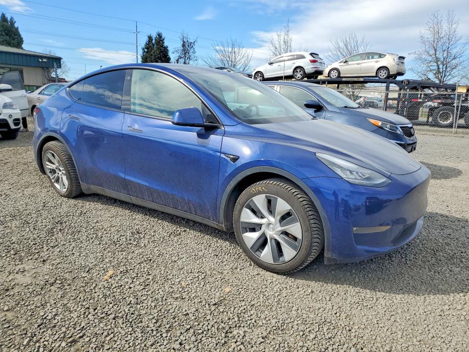 2021 Tesla Model Y მანქანა იყიდება აუქციონზე, vin: 5YJYGDEE0MF114923, აუქციონის ნომერი: 79497715