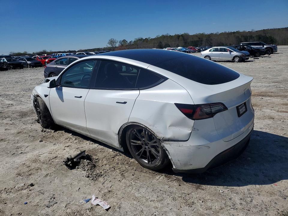Продажа на аукционе авто 2024 Tesla Model Y, vin: 7SAYGDED8RA307397, номер лота: 46517256