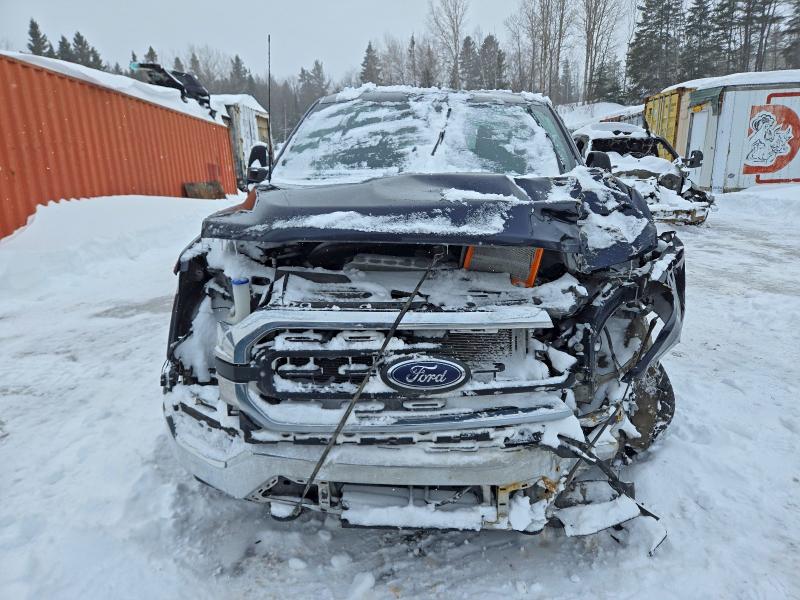 Продаж на аукціоні авто 2023 Ford F150, vin: 1FTFW1E82PFC13780, номер лоту: 75578175