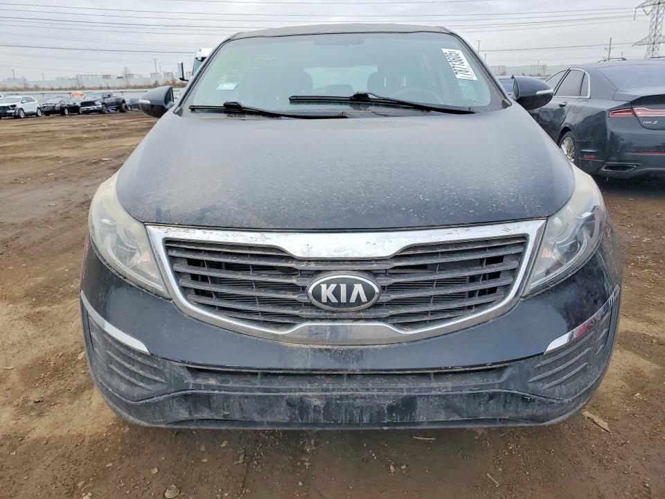 Продаж на аукціоні авто 2013 Kia Sportage, vin: KNDPB3A23D7422559, номер лоту: 78713605