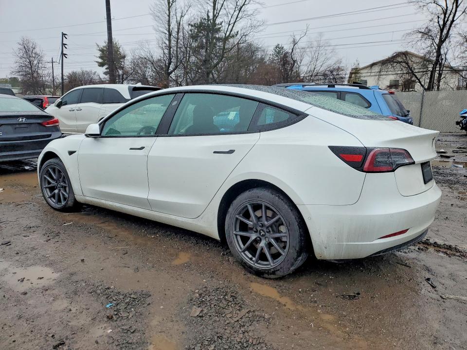 Продажа на аукционе авто 2022 Tesla Model 3, vin: 5YJ3E1EB1NF315154, номер лота: 79716155