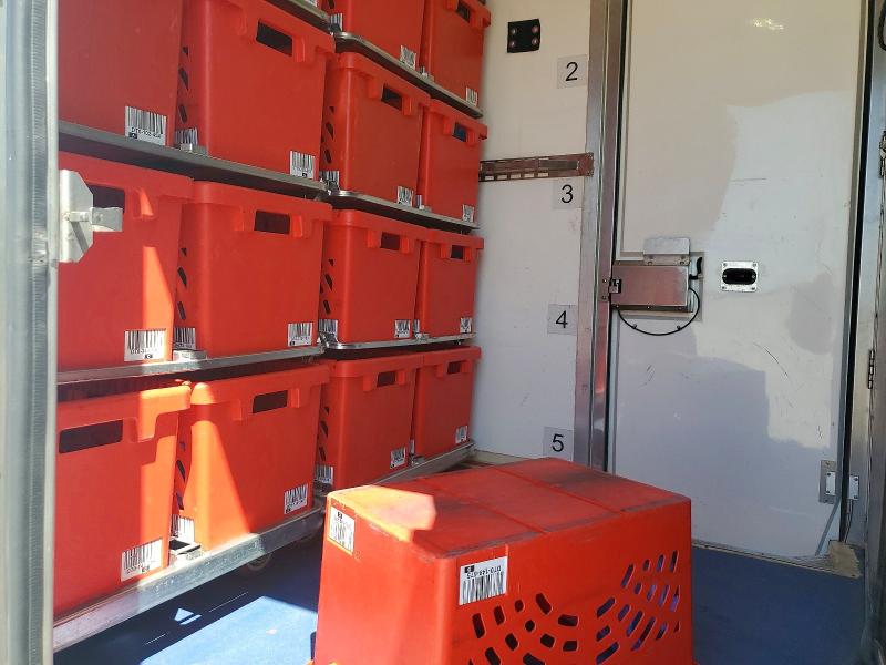 Продажа на аукционе авто 2022 Ford Transit, vin: 1FDBW5Z81NKA31679, номер лота: 46946066