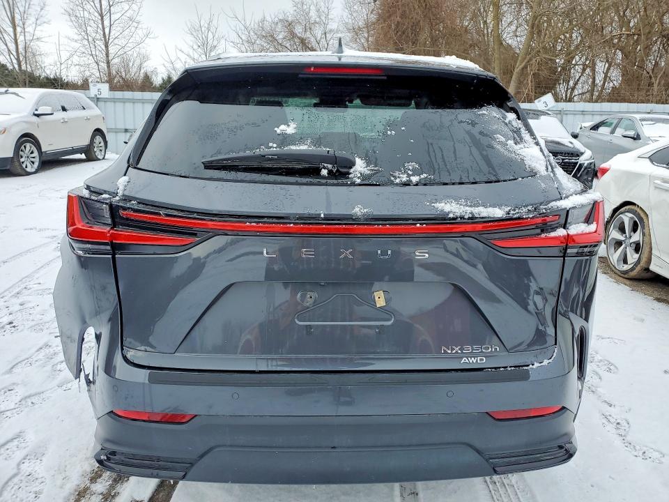 46534216 :رقم المزاد ، 2T2GKCEZ7SC038332 vin ، 2025 Lexus Nx 350 مزاد بيع