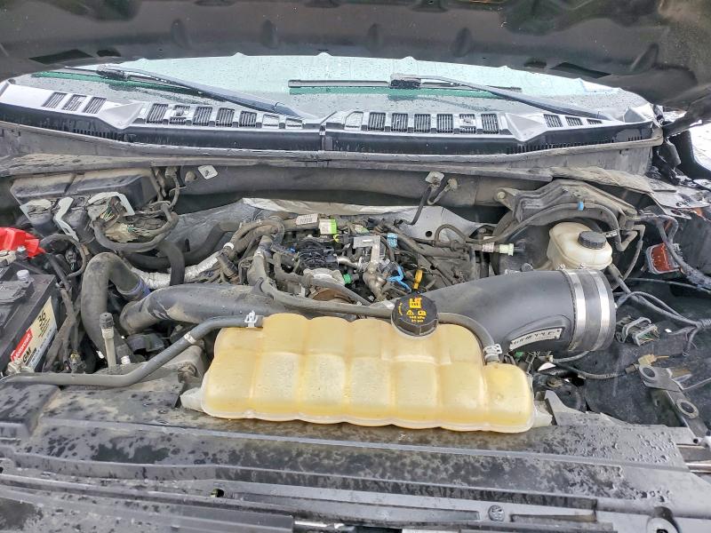 Продажа на аукционе авто 2019 Ford F150, vin: 1FTMF1EP5KKD11684, номер лота: 79318925