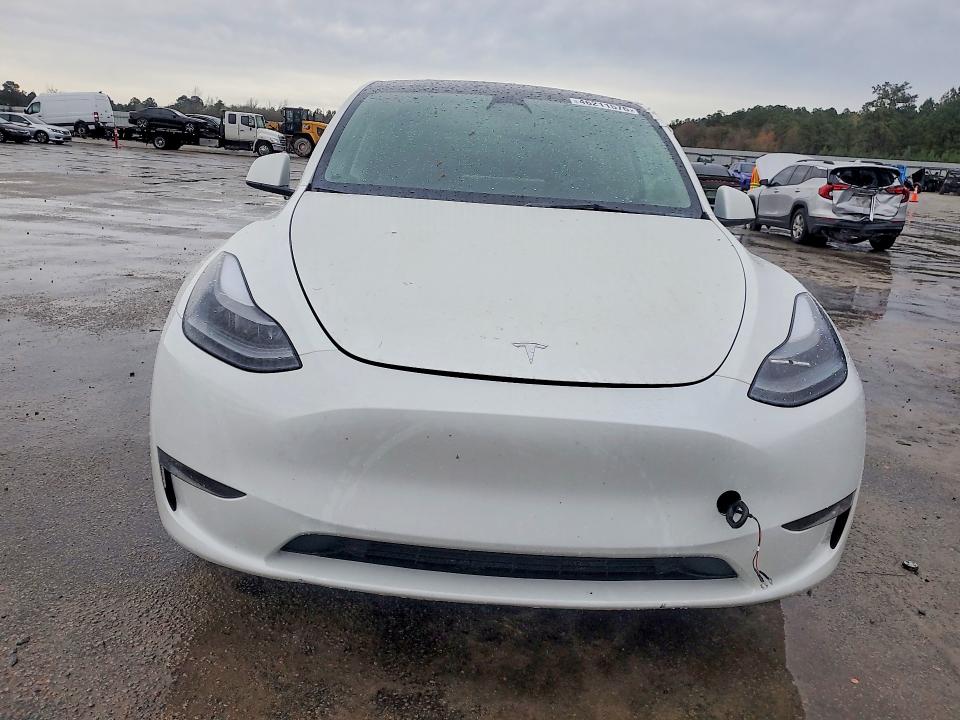 Продаж на аукціоні авто 2023 Tesla Model Y, vin: 7SAYGDEE3PF690156, номер лоту: 46211576