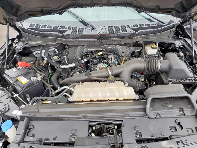 Продажа на аукционе авто 2024 Ford F150, vin: 1FTEW3LP1RKD11324, номер лота: 41886446