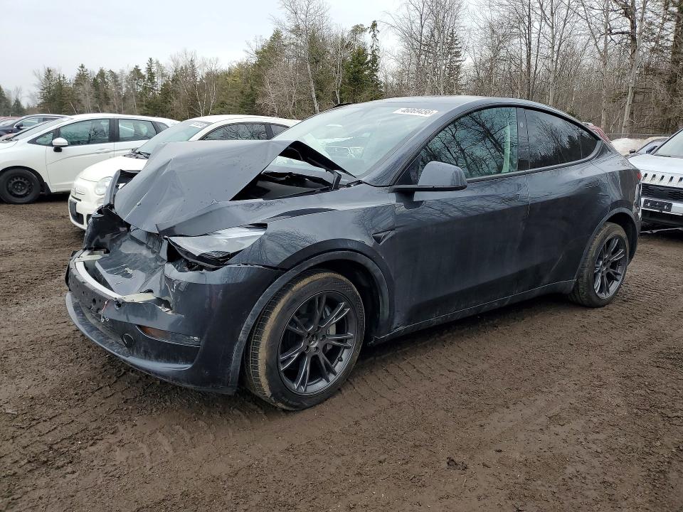 Продаж на аукціоні авто 2024 Tesla Model Y, vin: 7SAYGDEE3RF203640, номер лоту: 46069456