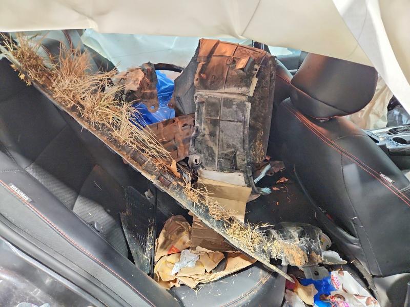 2023 Nissan Altima მანქანა იყიდება აუქციონზე, vin: 1N4BL4CWXPN338418, აუქციონის ნომერი: 41919576