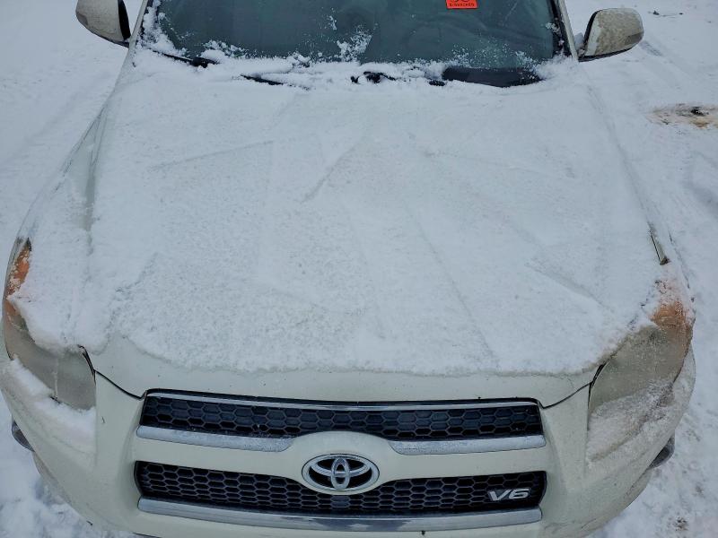 Auction sale of the 2009 Toyota Rav4, vin: JTMBK31V295073708, lot number: 46436486