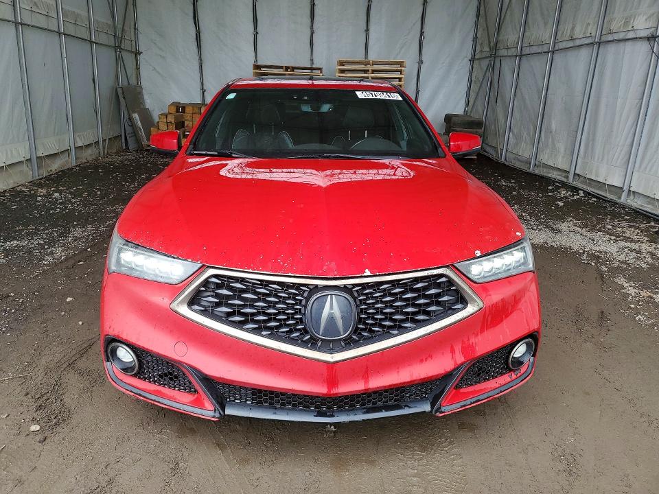 Продажа на аукционе авто 2019 Acura Tlx, vin: 19UUB3F65KA800042, номер лота: 45793416