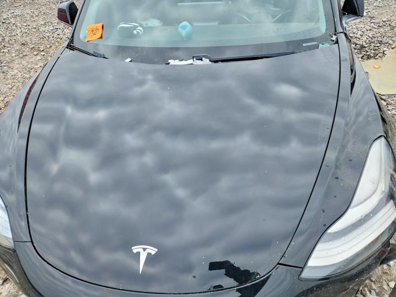 Aukcja sprzedaży 2019 Tesla Model 3, vin: 5YJ3E1EA3KF296903, numer aukcji: 46793346