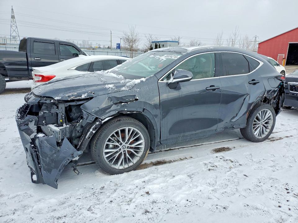 46534216 :رقم المزاد ، 2T2GKCEZ7SC038332 vin ، 2025 Lexus Nx 350 مزاد بيع