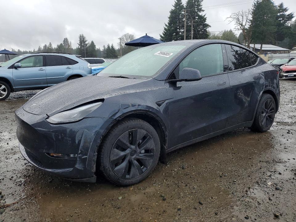 Продажа на аукционе авто 2025 Tesla Model Y, vin: 7SAYGDEE5SF302031, номер лота: 78906805
